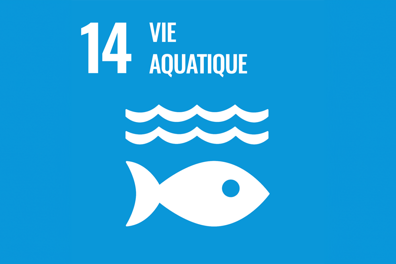 Icone de l'ODD 14 représentant la vie aquatique
