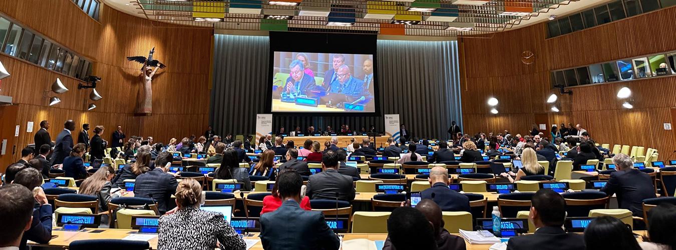 Wide view of the Ministerial Meeting in session