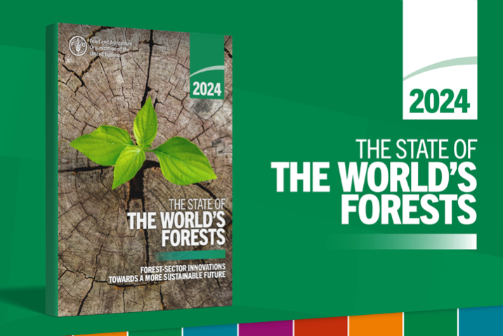 Cover of the report about the State of World's Forests 2024