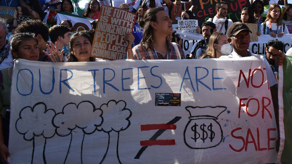 young people holding a sign during a protest, saying quote our trees are not for sale